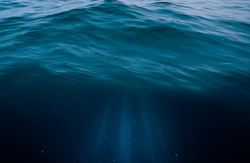 The Sea